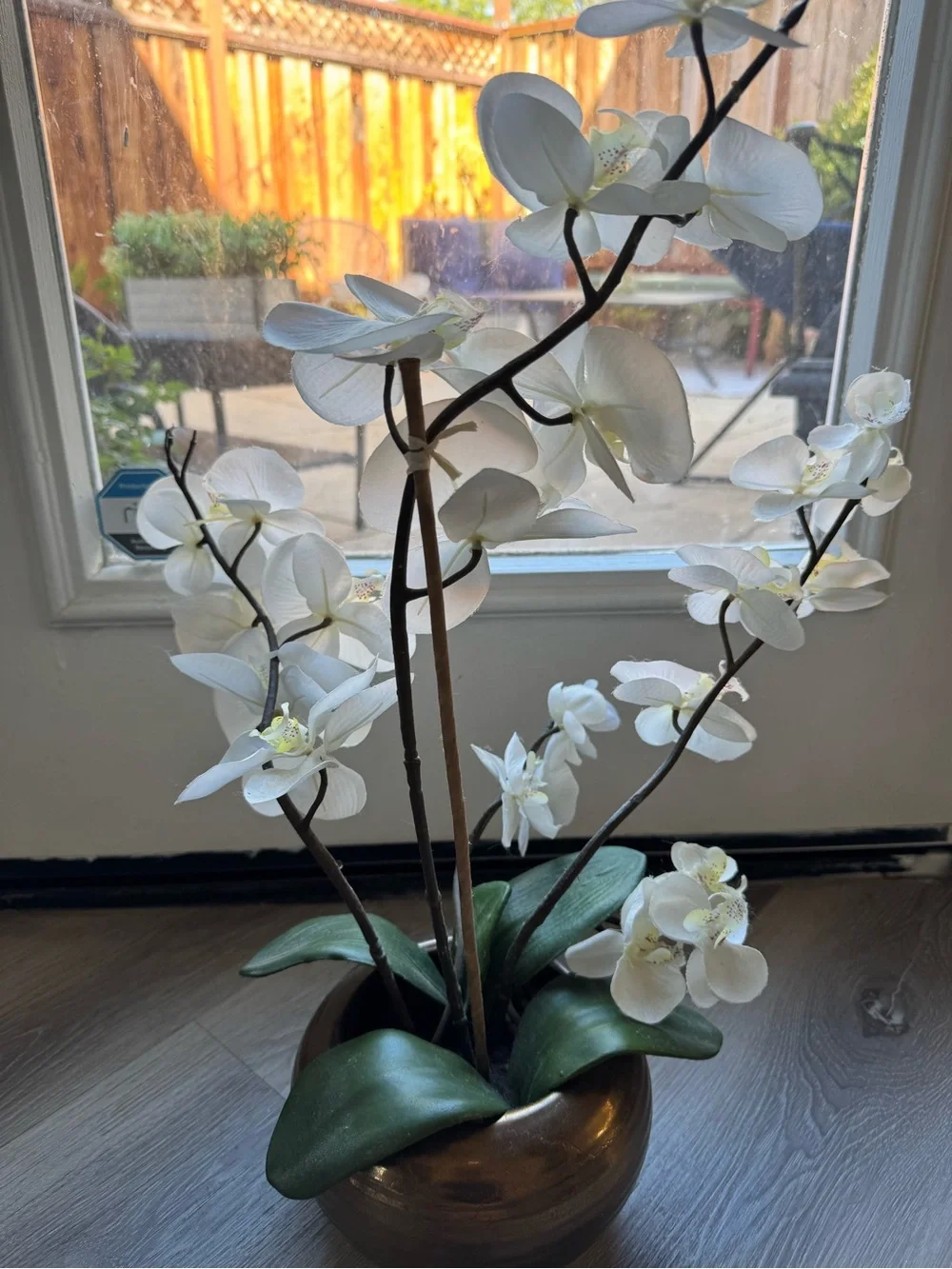 Pier 1 imports White Orchid Arrangement in Bronze Vase - Home Accents